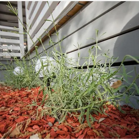 Sunny Day, Mobile Campingplatz Weißenburg