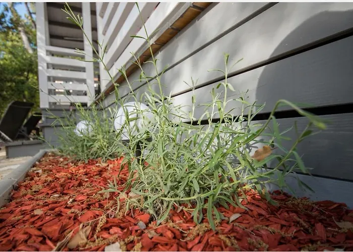 Sunny Day, Mobile 营地 比奥格勒·纳·莫鲁