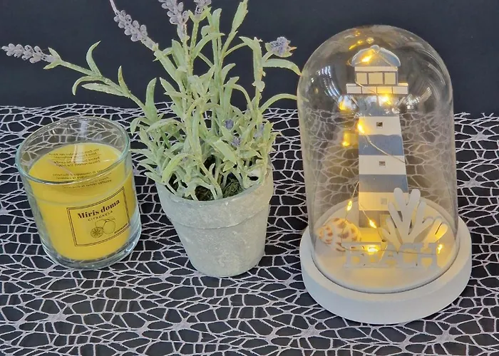 Sunny Day, Mobile * 比奥格勒·纳·莫鲁